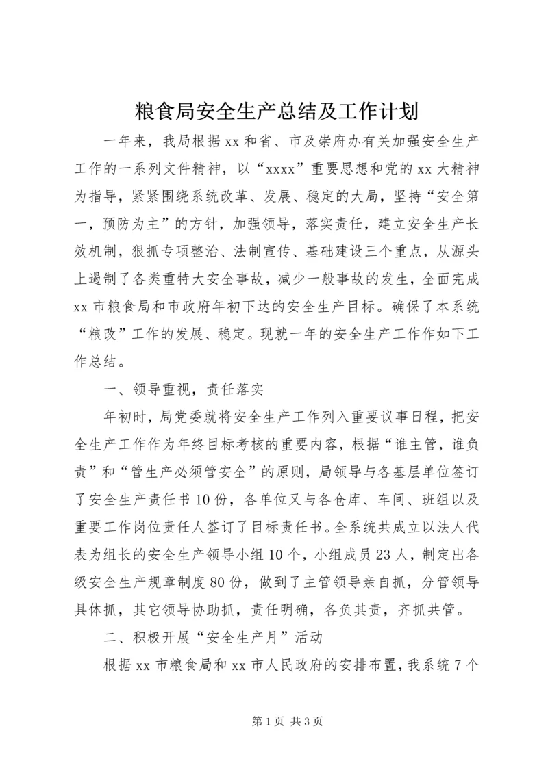 粮食局安全生产总结及工作计划 (4).docx