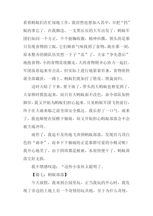 蚂蚁部落作文.docx