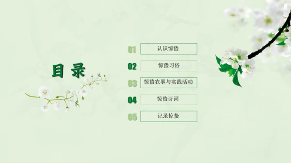 惊蛰淡绿色二十四节气实践教学课件通用PPT模板