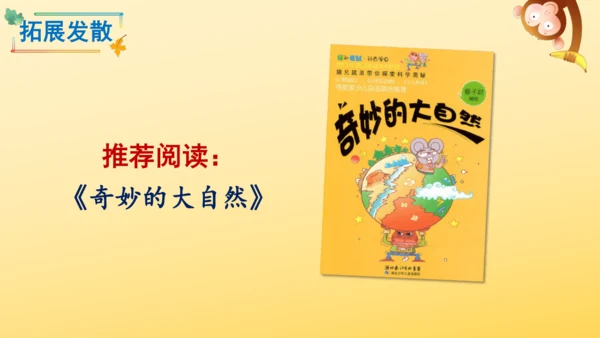22 读不完的大书  课件
