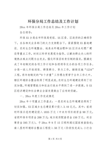 环保分局工作总结及工作计划.docx