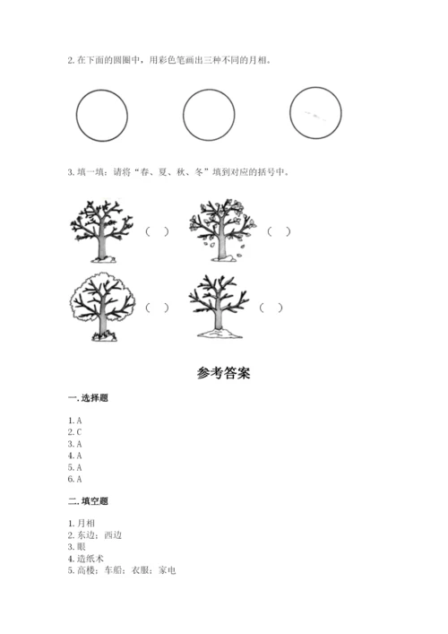 教科版小学二年级上册科学期末测试卷【典型题】.docx