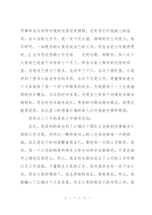 业务员试用期工作总结10篇.docx
