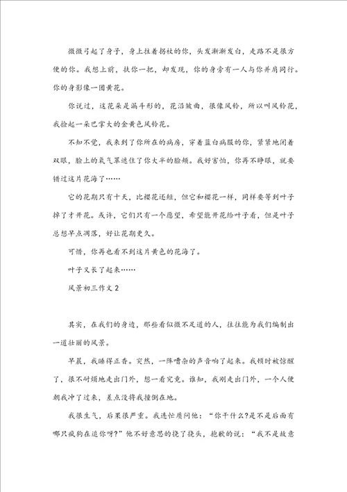 风景初三作文800字