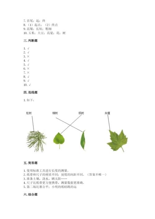 教科版一年级上册科学期末测试卷及完整答案.docx