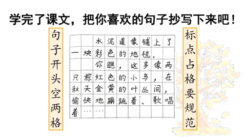 5 铺满金色巴掌的水泥道