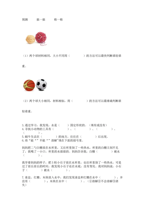 教科版一年级下册科学期末测试卷含下载答案.docx