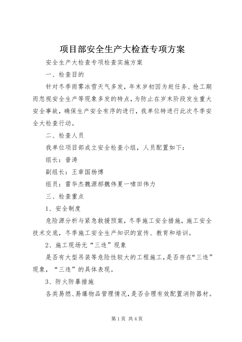 项目部安全生产大检查专项方案_1 (3).docx