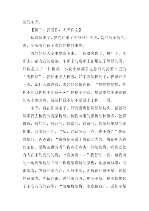 我爱你冬天作文.docx
