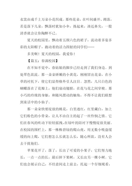 关于校园的作文.docx