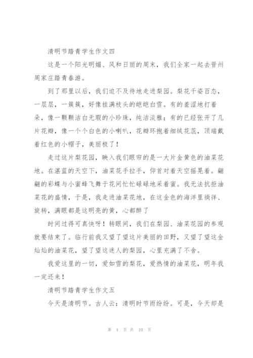 清明节踏青学生作文10篇.docx