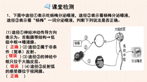 4.6.3神经调节的基本方式（课件）-七年级生物下册备课无忧（人教版）(共17张PPT)