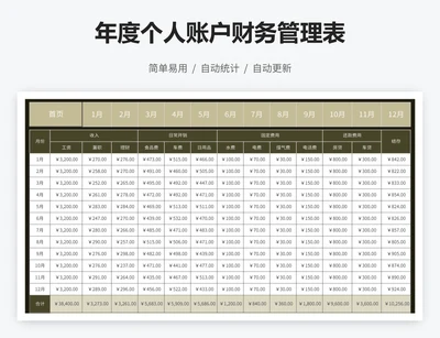 年度个人账户财务管理表