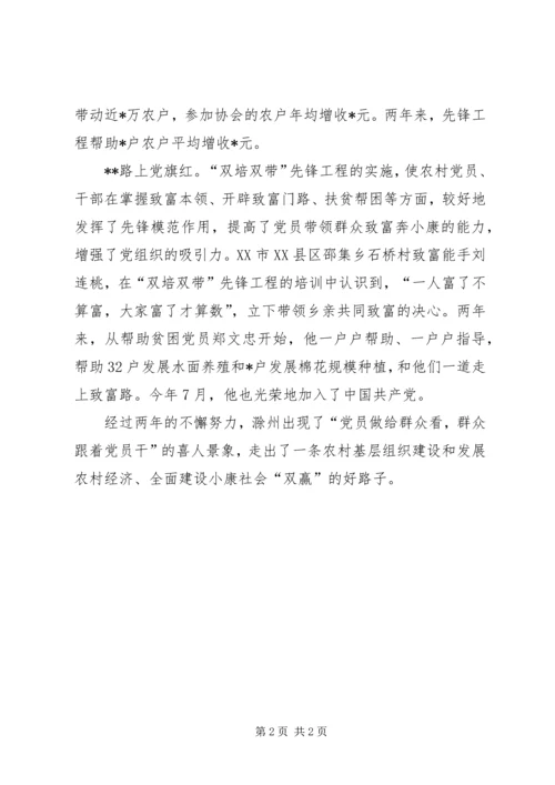 富民路上党旗红.docx