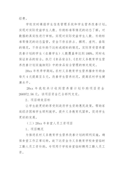 学校项目绩效运行监控报告.docx