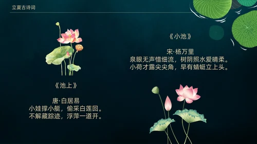 立夏荷叶绿色清新夏天通用PPT模板