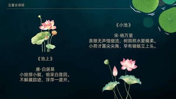 立夏荷叶绿色清新夏天通用PPT模板