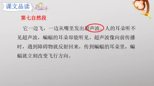 6 夜间飞行的秘密   课件