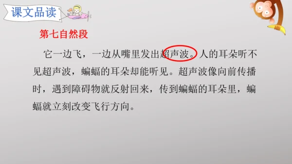 6 夜间飞行的秘密   课件
