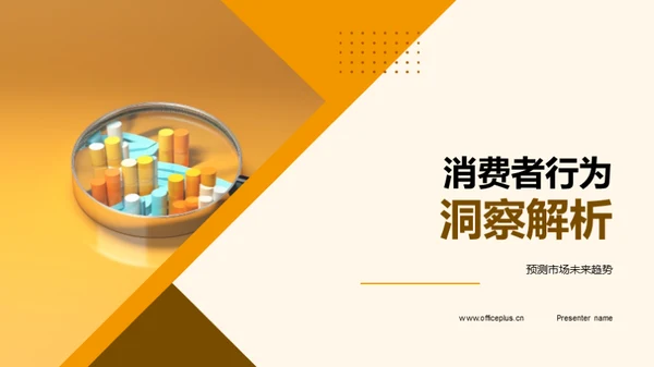 消费者行为洞察解析