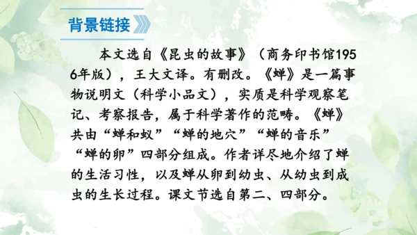 第21课《蝉》课件