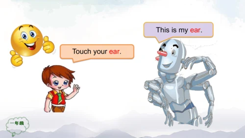 Unit 2 Face Lesson 2 课件(共34张PPT)