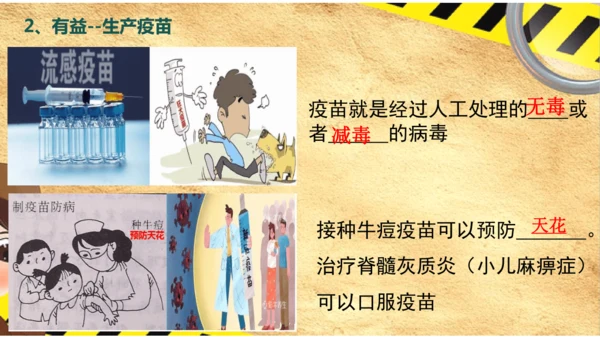 人教版生物八年级上册5.5《病毒》（课件）(共30张PPT)+视频素材