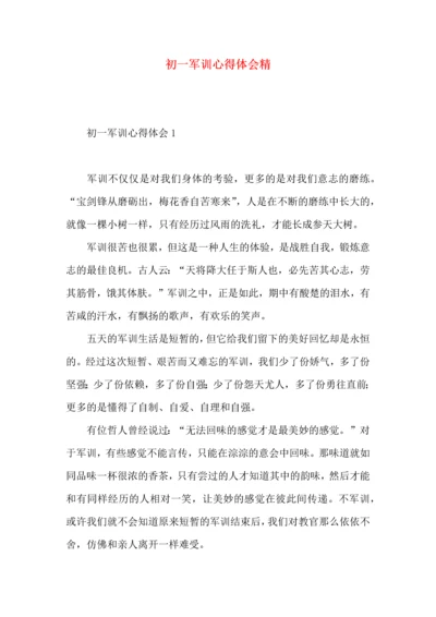 初一军训心得体会精 (2).docx