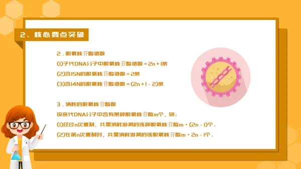 人教版生物课《DNA的复制》通用PPT课件