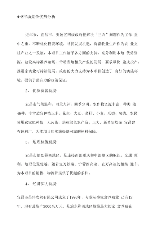 蛋鸡养殖可行性报告