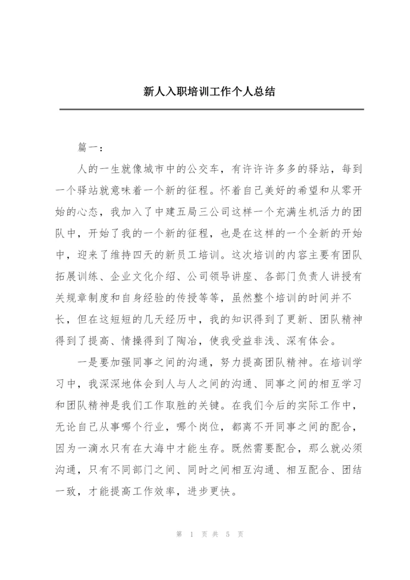 新人入职培训工作个人总结.docx