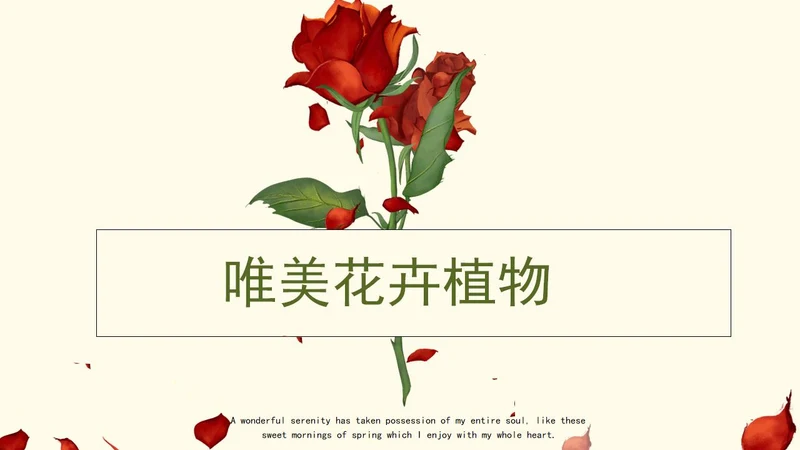 红色玫瑰唯美花卉ppt模板