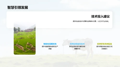 牧业之路