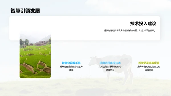 牧业之路