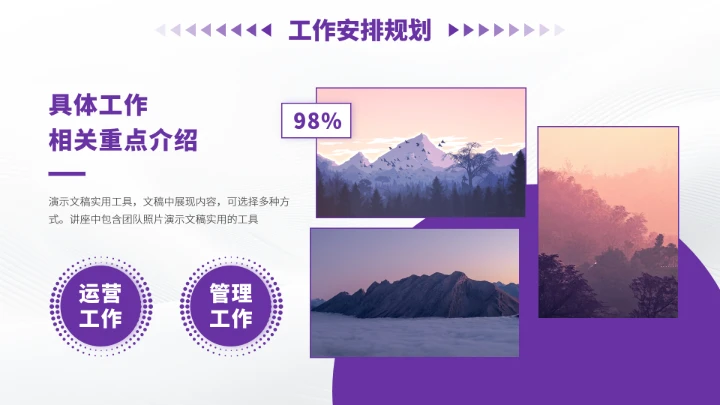 紫色高端风大学生职业生涯规划PPT模板