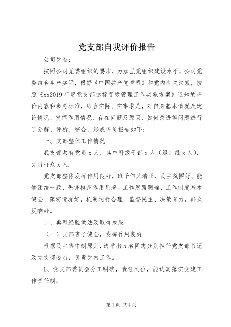 党支部自我评价报告.docx