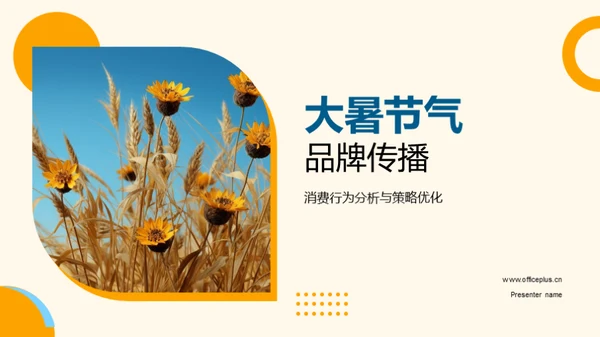 大暑节气品牌传播