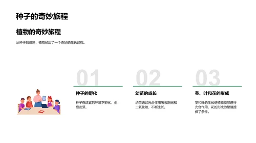 庭园植物种植教学PPT模板