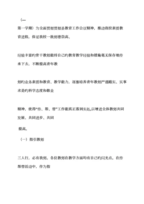教师传帮带实施专题方案.docx