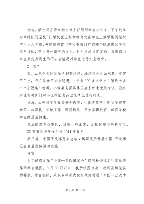 亚欧博览会期间安全工作总结.docx