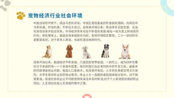 简约实图狗宠物经济行业前景分析报告汇报模板