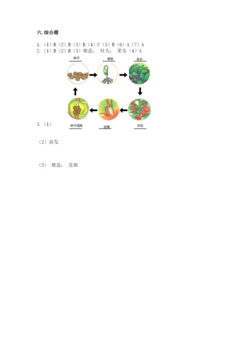 科学四年级下册第一单元《植物的生长变化》测试卷含答案（名师推荐）.docx