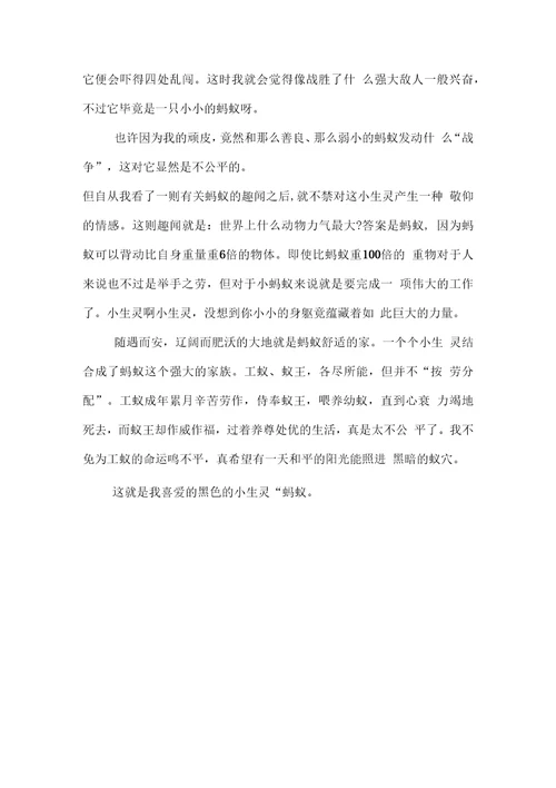 描写小动物的作文。