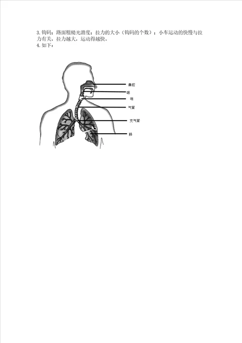 教科版科学四年级上册期末测试卷典型题word版