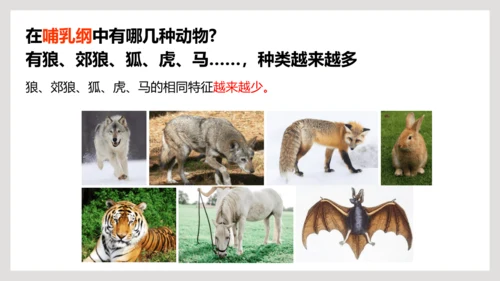 6.1.2+从种到界-【互动课堂】八年级生物上册精品课件（人教版）(共20张PPT)