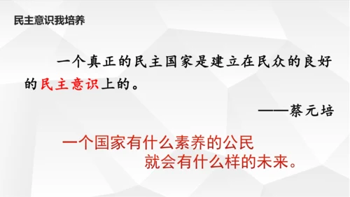 3.2 参与民主生活 课件(共23张PPT)