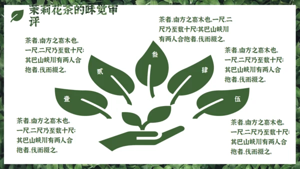 茉莉花茶满墙绿色植物通用PPT模板