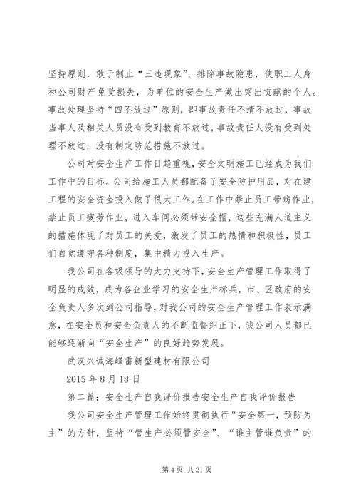 安全生产自我评价报告 (6).docx