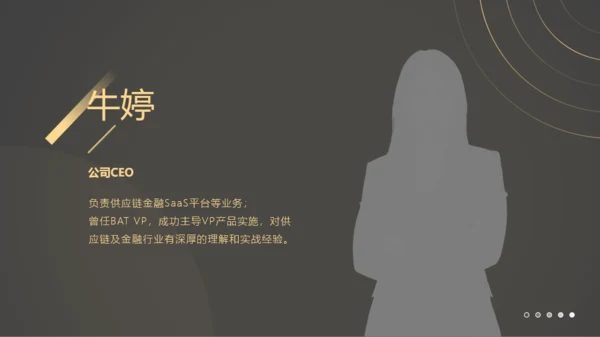 商务简约风金融商业计划书PPT模板