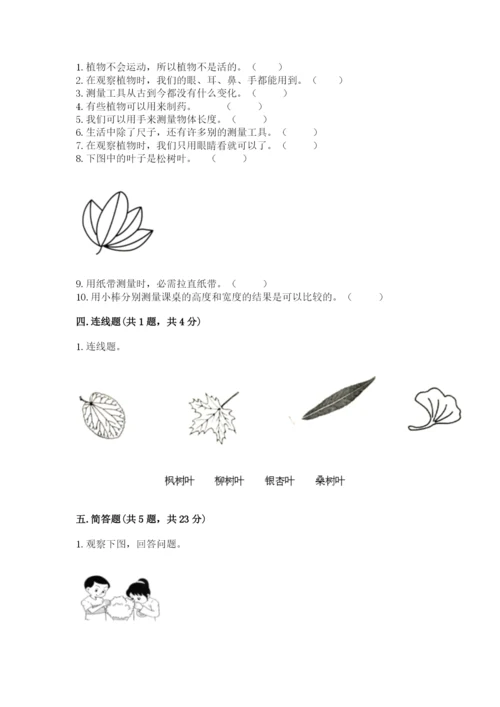 教科版一年级上册科学期末测试卷（精华版）.docx